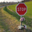 is-this-road-safe avatar