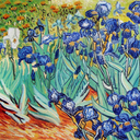 isabellavanwest avatar