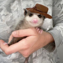 isabelle-necessary-on-a-bicycle avatar