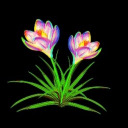 isanyonetoknow avatar