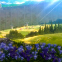 isayamasideblog avatar