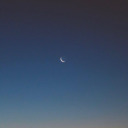 iseephosphenes avatar