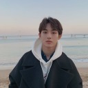 isgonegonegonegone avatar