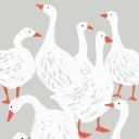 isgoose avatar