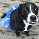 ishipthatlove avatar