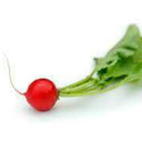 isitadoublewide avatar