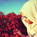 islamiaway-blog avatar