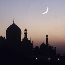 islamispeaceforever avatar