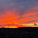 islanderguy90 avatar