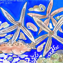 islandharmony avatar