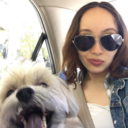 islandofships avatar