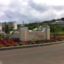 islandprincessproblems avatar