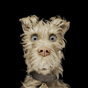 isleofdogsmovie avatar