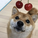 ismailabihoop avatar