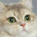 ismellbadpopcorn avatar