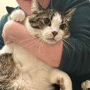 isnt-it-exhausting avatar