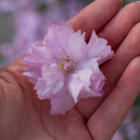 isnt-she-lovelee avatar