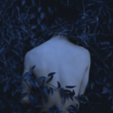 isolated-eirian avatar