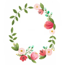 isolated-hearts avatar