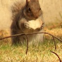 isometimeshaveideas avatar