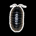 isopost-headquarters avatar