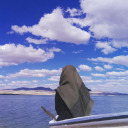 ispanaklipuding avatar