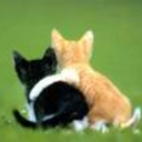 issues-of-thepresentday avatar