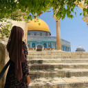 istabrakfadily avatar