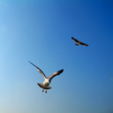 istanbuldiary avatar