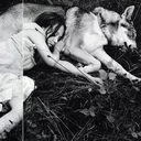 istoletheworld avatar