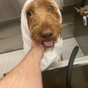 istra-ish-sucha-geek avatar