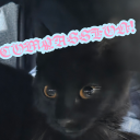 isuggestcompassion avatar