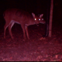 isunklikeastone-blog avatar