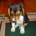 isunkthatlow-blog avatar