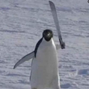 iswearimnotadrugdealer avatar