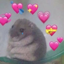 iswearimnotamelon avatar