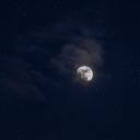 isweartheyregayyourhonor avatar