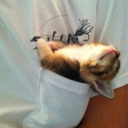 isyourbedroomceilingbored avatar