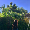 it-is-in-our-hands avatar