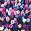 it-is-what-you-make-it avatar