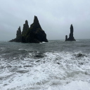 italianfeeder avatar