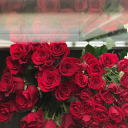 italianlauraa avatar