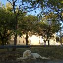 itbelikethatsometimesyk avatar