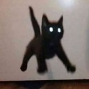 itchybrainworms avatar