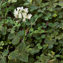 itdoesntstopbeingmagic avatar