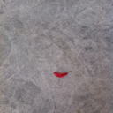 itechnefranceblr avatar