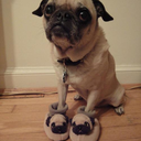 itendtowhisper avatar