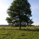 ithinkyourefunny avatar