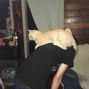 itistimesaidthewalrus avatar