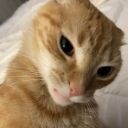 itiswhatitis-33 avatar